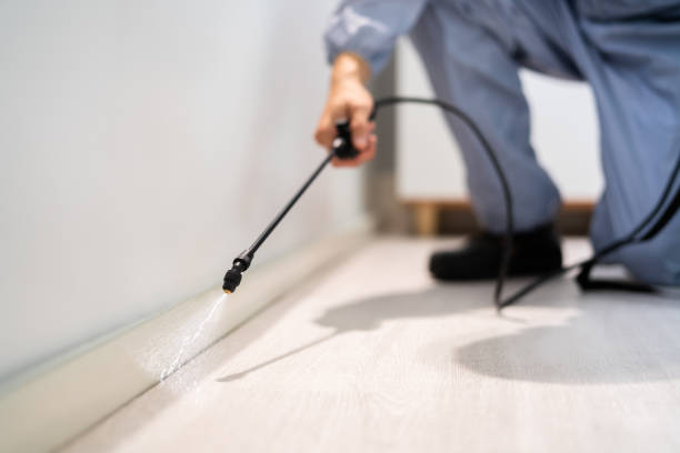 Licensed Pest Control service in Vian, OK - Show Me Pest Control
