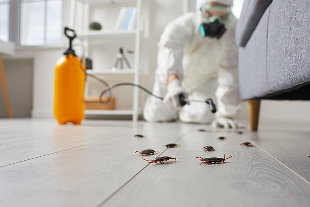 Post-Treatment Bed Bug Interceptor Monitoring in Vian