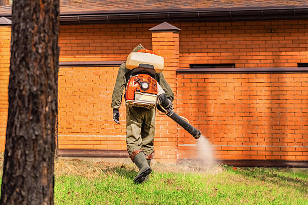 Bed Bug Clearance Verification and Documentation in Vian